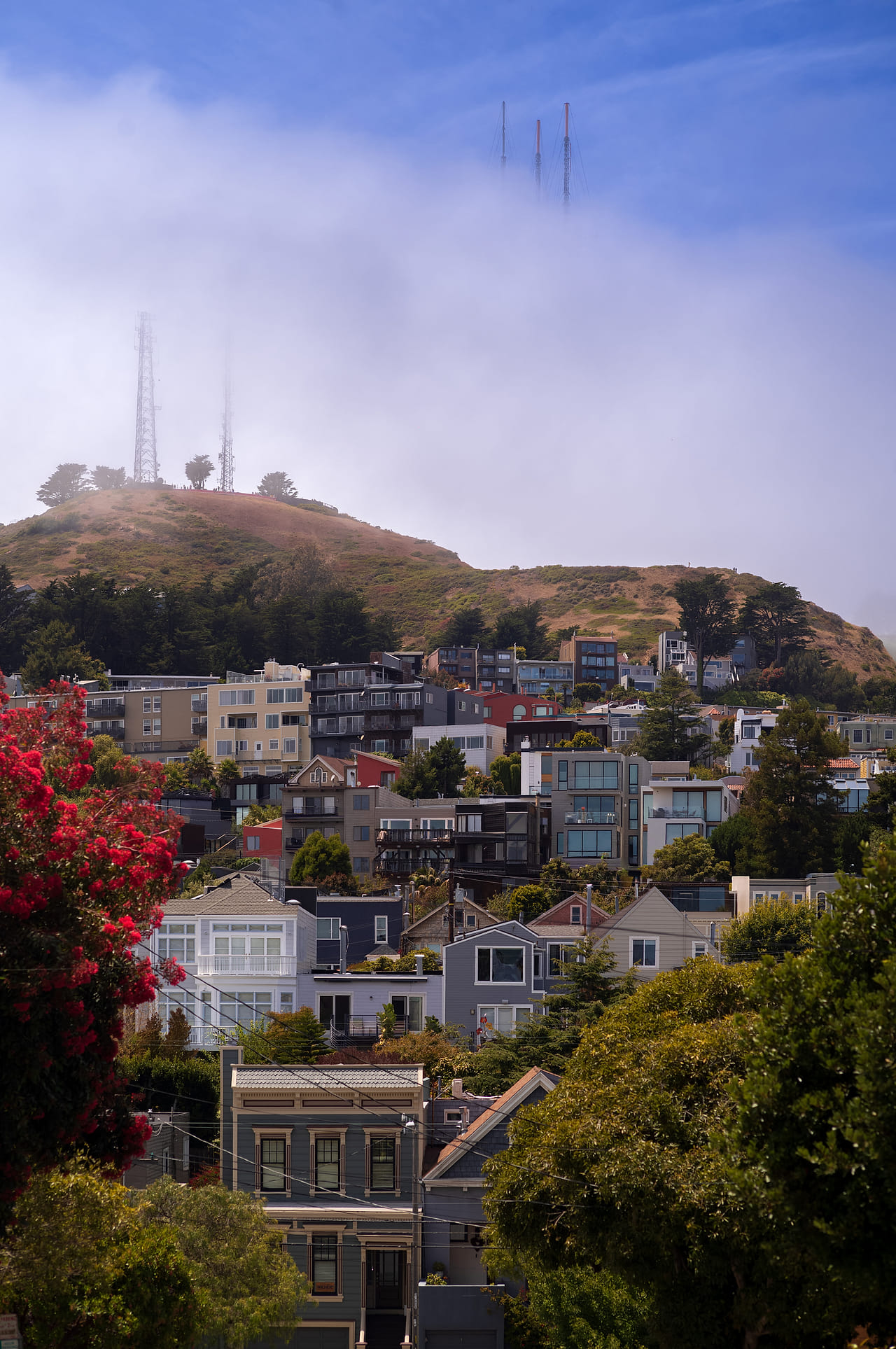 Summer fog rolling over Twin Peaks and swallowing Sutro Tower, seen over the rooftops and bougainvillea from Kite Hill.